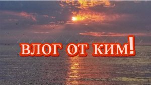 влог от ким!