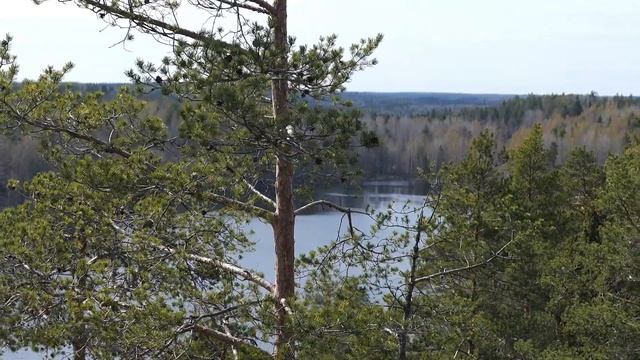 Велопутешествие на ЯСТРЕБИНОЕ ОЗЕРО