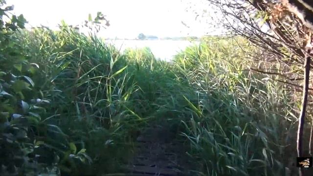 Высокополье  Обзор сектора № 7  сессия 03. 07. 2017-7.07.2017года смотреть онлайн