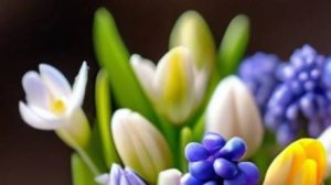 Слушать рассказы - Дорожи каждым мгновением: как беречь самое ценное...