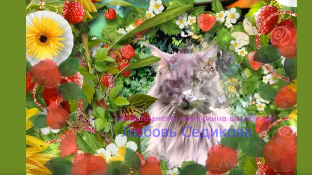 Поздравление для любимой хозяюшки !  6