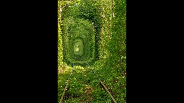 Не забирайте у птахи крила... Оксана Полiщук смотреть онлайн