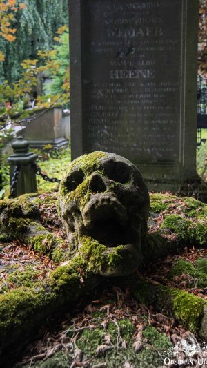 Зачем сидишь ты у могилы (по мотивам  фильма "ВОРОНЬЯ ЛОЩИНА" ЭДГАРА ПО)