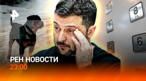 Бунт региональной власти против Зеленского / Ротвейлер напал на мать с ребенком / РЕН НОВОСТИ 26.02