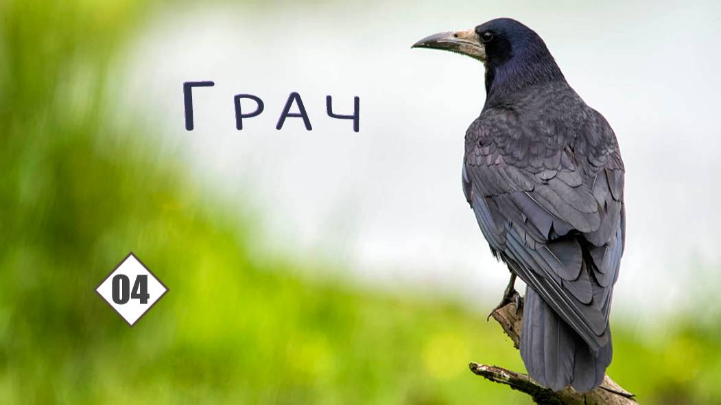 04_Грач смотреть онлайн