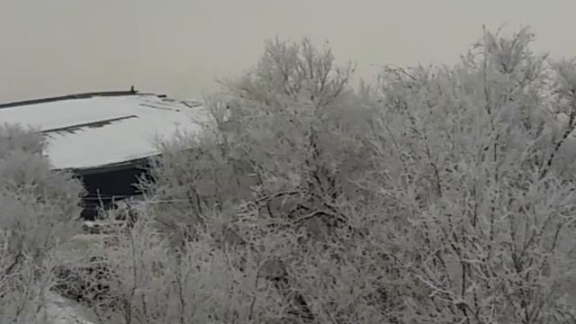 Талдыкорган. Обвалилась крыша бассейна смотреть онлайн