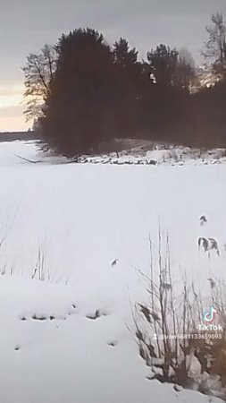 26-02-2025пакатушки