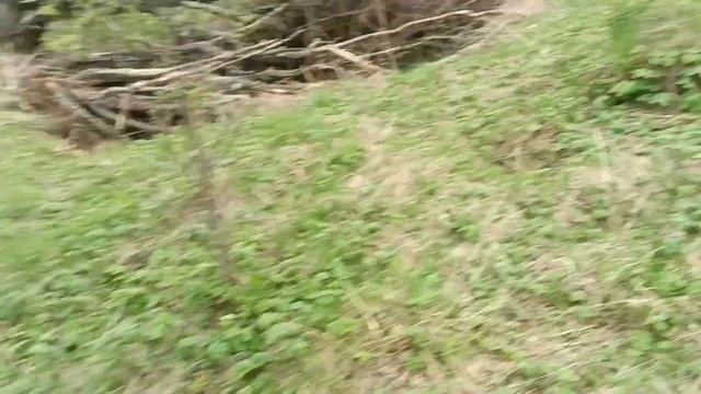 порожняки на металлокопе смотреть онлайн