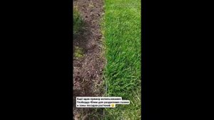 Садовый пластиковый бордюр Геоборд! Обзор вариантов применения на одном показательном объекте