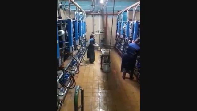 ОАО Вольно смотреть онлайн