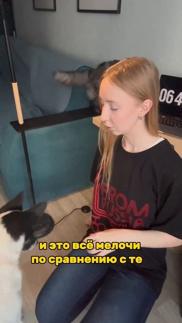 А какие у вас любимцы? #семья #коты #собаки #животные #любовь #поставьлайк #вопросы #рекомендации