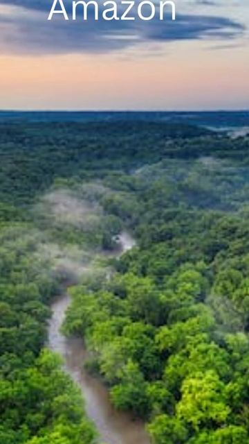 Getting Lost in the Beauty of Nature: Amazing Scenes to Experience смотреть онлайн