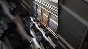 Шпарчан для свиней и свиноматок haas тип 300. Шпарчан бу