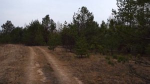 Полнышево. 1