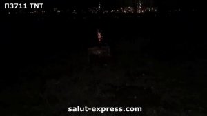 Петарды фитильные TNT П3711 ТНТ ТМ Волк 25гр флеша, пачка 3 шт , цена за 1 штуку