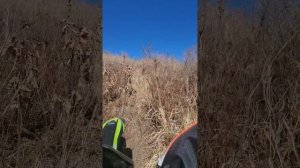 Отмечаю 23 Февраля с Regulmoto sport003 г.Находка