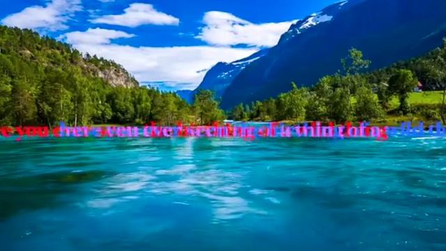 If a Tree Falls in the Forest смотреть онлайн