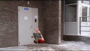 Вайлд крафт страшилка ( милок пусти погреться)