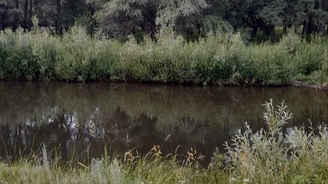 родной край-туган як (деревня, быт , радости , творчество) смотреть онлайн