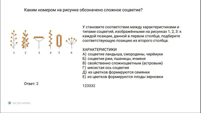 Решение сложных задач ЕГЭ. Биология. Растения (1 часть). Сербина С.Е.