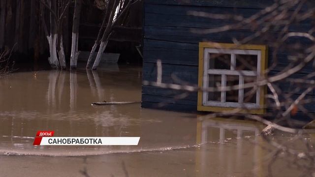 Мэр дал поручение обследовать берег Селенги и провести дезинфекцию после паводков смотреть онлайн