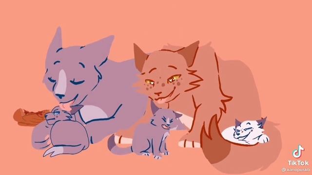 1000024852.mp4 смотреть онлайн