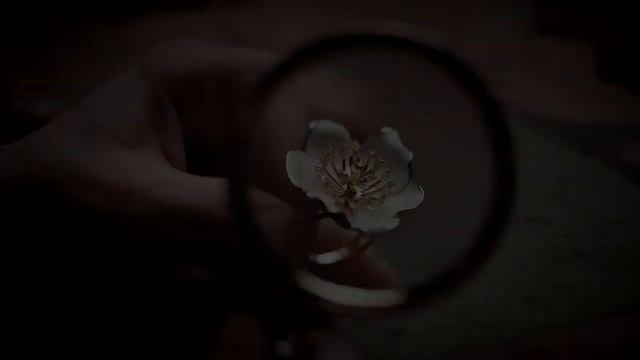 Роберто Браво - колекция Карина смотреть онлайн