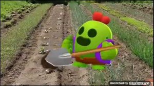 как вырастить арбуз😅😅😅😅😅