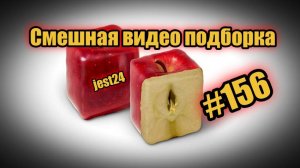 Смешная видео подборка #156