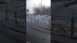 Пермь/Пригородный маршрут 339/НефАЗ 5299-11-56/Ванюки-Улица Милиционера Власова/