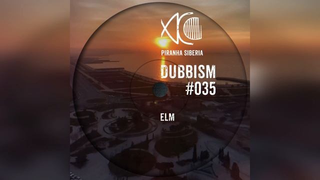 Dub Techno Mix 2022 | DUBBISM 035 - ELM