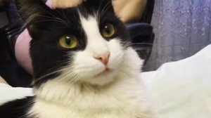 Останкинский днём суббота