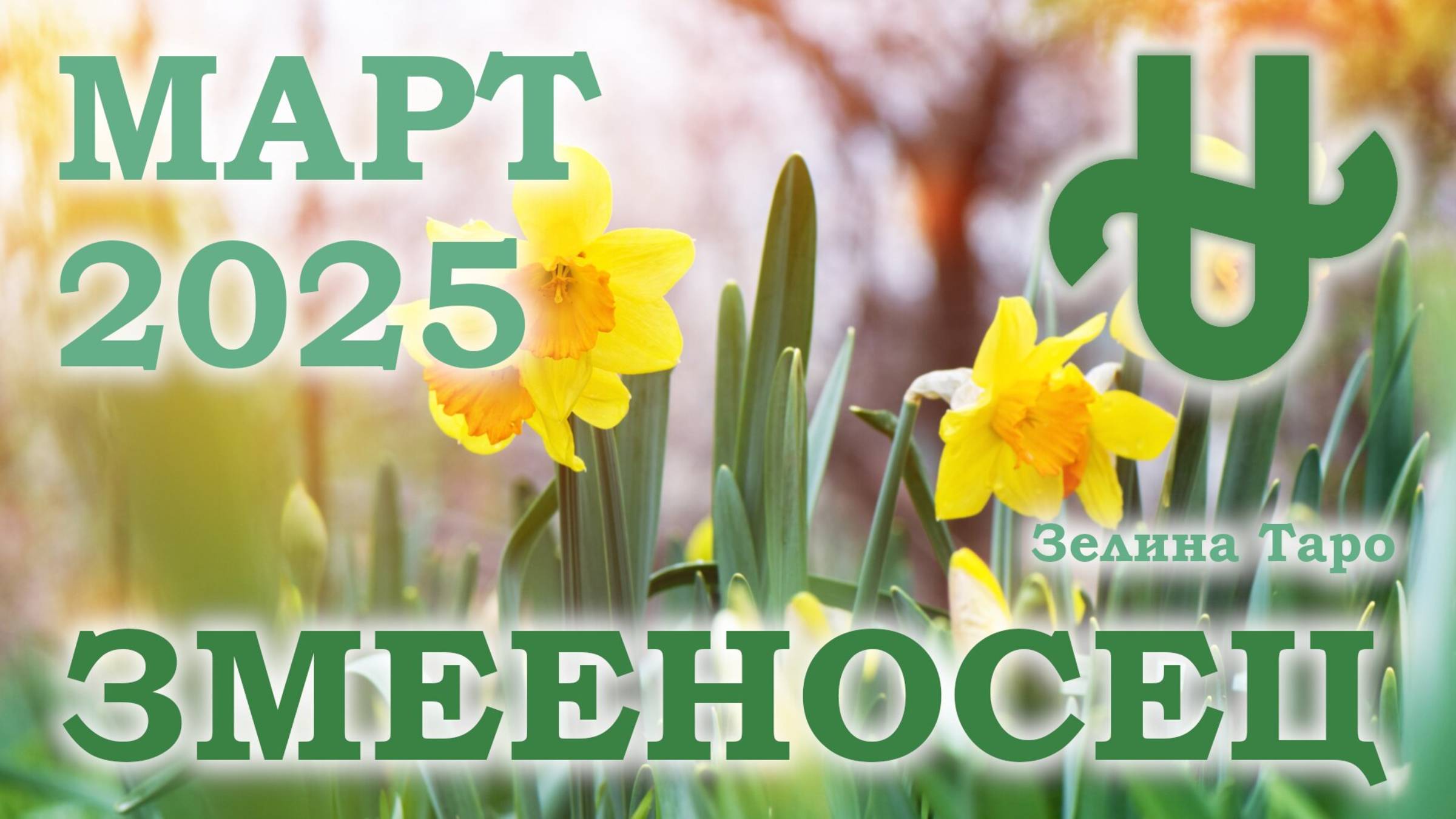 ЗМЕЕНОСЕЦ | ТАРО прогноз на неделю с 24 февраля по 2 марта 2025 года