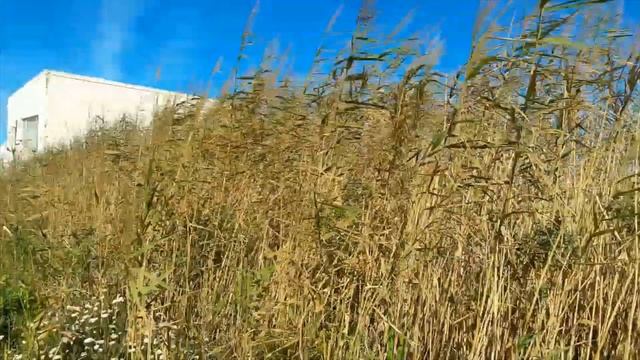 4562 Lakeside Drive plot for sale in Bettys Bay смотреть онлайн