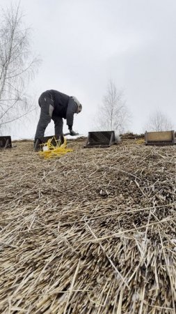 Процесс монтажа кровли из камыша от Woodhead.
Woodhead - крыши из камыша №1 в России.