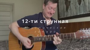 Обзор гитары 12-ти струнной Vester VDN322