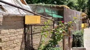 Гавайи Токмок