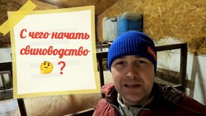С ЧЕГО НАЧАТЬ СВИНОВОДСТВО❓🤔 РАЗБЕРЁМ ВСЁ ПО ПОЛОЧКАМ 😉