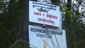 река Большой Таз Горная Шория