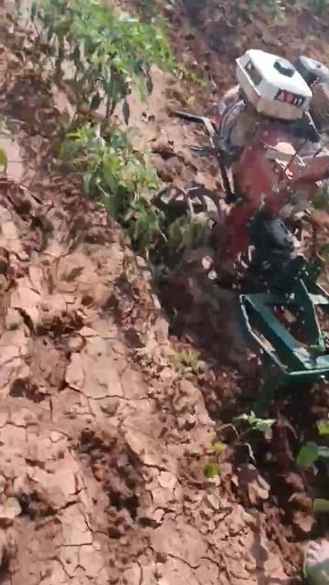 sound sound sound смотреть онлайн