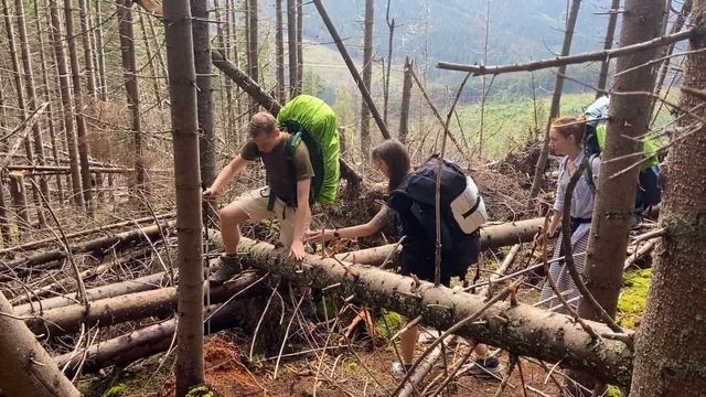 Карпати.Росохан та Аршиця.Та підьйом на Яйко-Ілемський.Частина перша смотреть онлайн