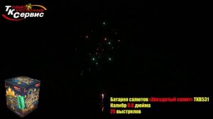 Салют TKB531 1 ЗВЕЗДАТЫЙ САЛЮТ 25 выстрелов 0,8 калибра ТК Сервис