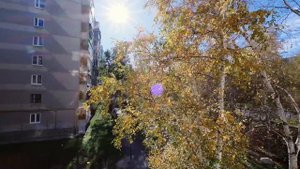 Квартира Сиреневый