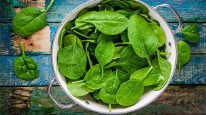 Самые полезные свойства шпината