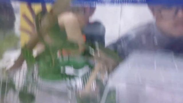 카멜레온 종류2 смотреть онлайн