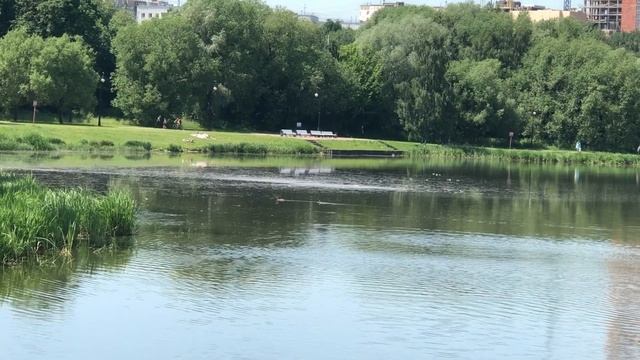 Отдыхая у водоемов, соблюдайте правила безопасного поведения на воде смотреть онлайн