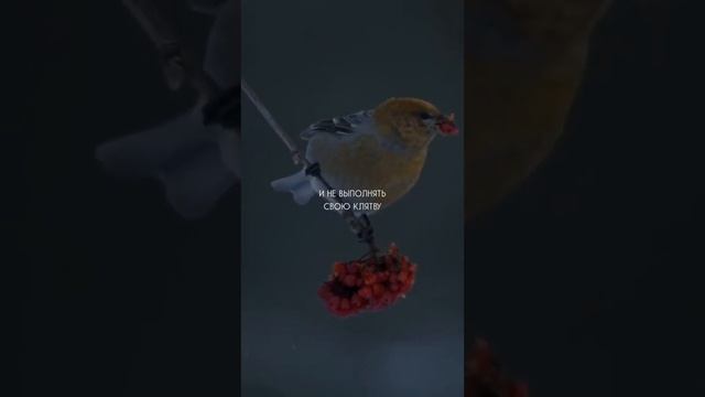 Что Сказал Нам Пророк (ﷺ)?