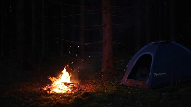 Ночью в лесу у костра