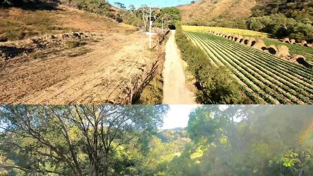 Asi es una vida tranquila y linda |la alegría de vivir en un rancho смотреть онлайн