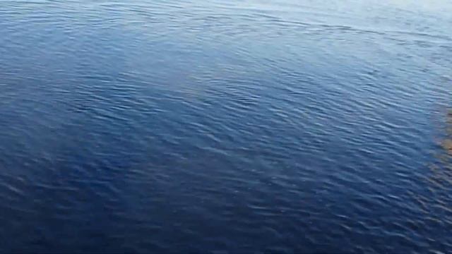 Атырауда Арал теңізіне ұқсас шипалы көл смотреть онлайн